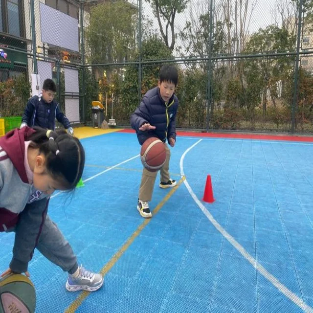 李诗沣夺冠路：羽坛新星的蜕变与崛起全纪录